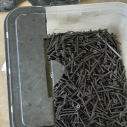 Bucket Of Drywall Screws 