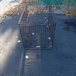 Large Wire Dog Kennel