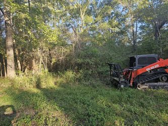 Underbrush Clearing