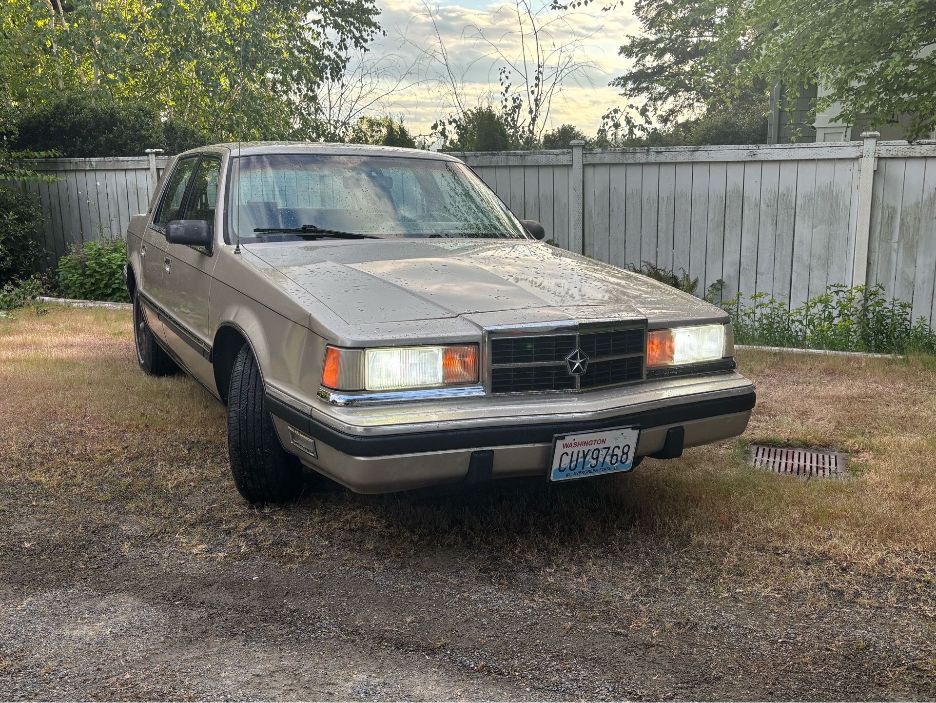 1989 Dodge Dynasty