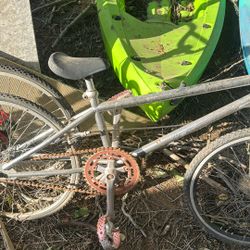 Kid Bike Race