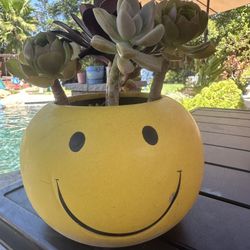 Succulents In A Happy Face Pot 5” High