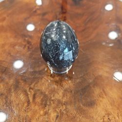 Fossil Of Orthoceras 