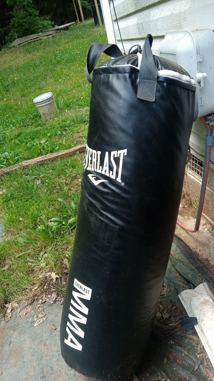 Everlast Punching Bag