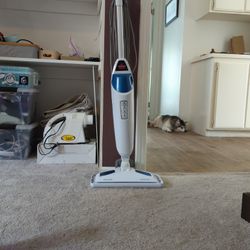 Bissell Steamer PowerFresh