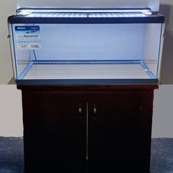 Brand New 40 Gallon Breeder Aquarium Fish Tank Setup 