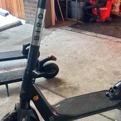 Bird E Scooters