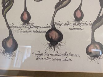 Frame print