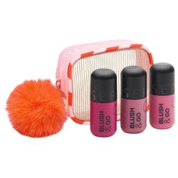 New SEPHORA COLLECTION Blush & Go Trio Makeup Gift set