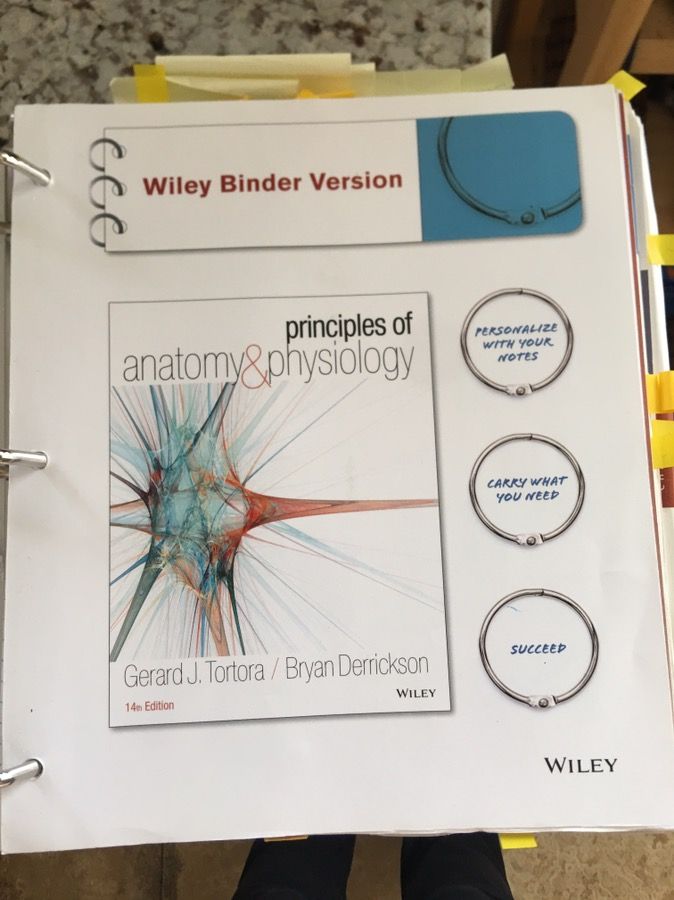 Principles of anatomy and physiology 14th edition Gerard J Tortola binder version with end of chapter quiz book