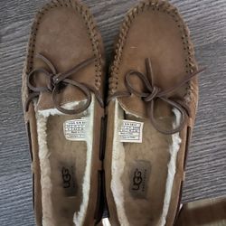 Ugg Dakota Women Slippers 