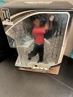 Tiger Woods All Star vinyl