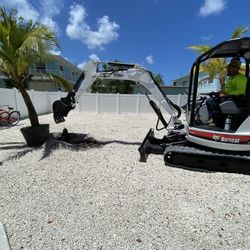 Excavator Bobcat
