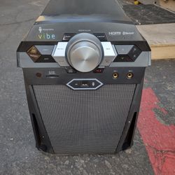 Vibe Karaoke Machine 