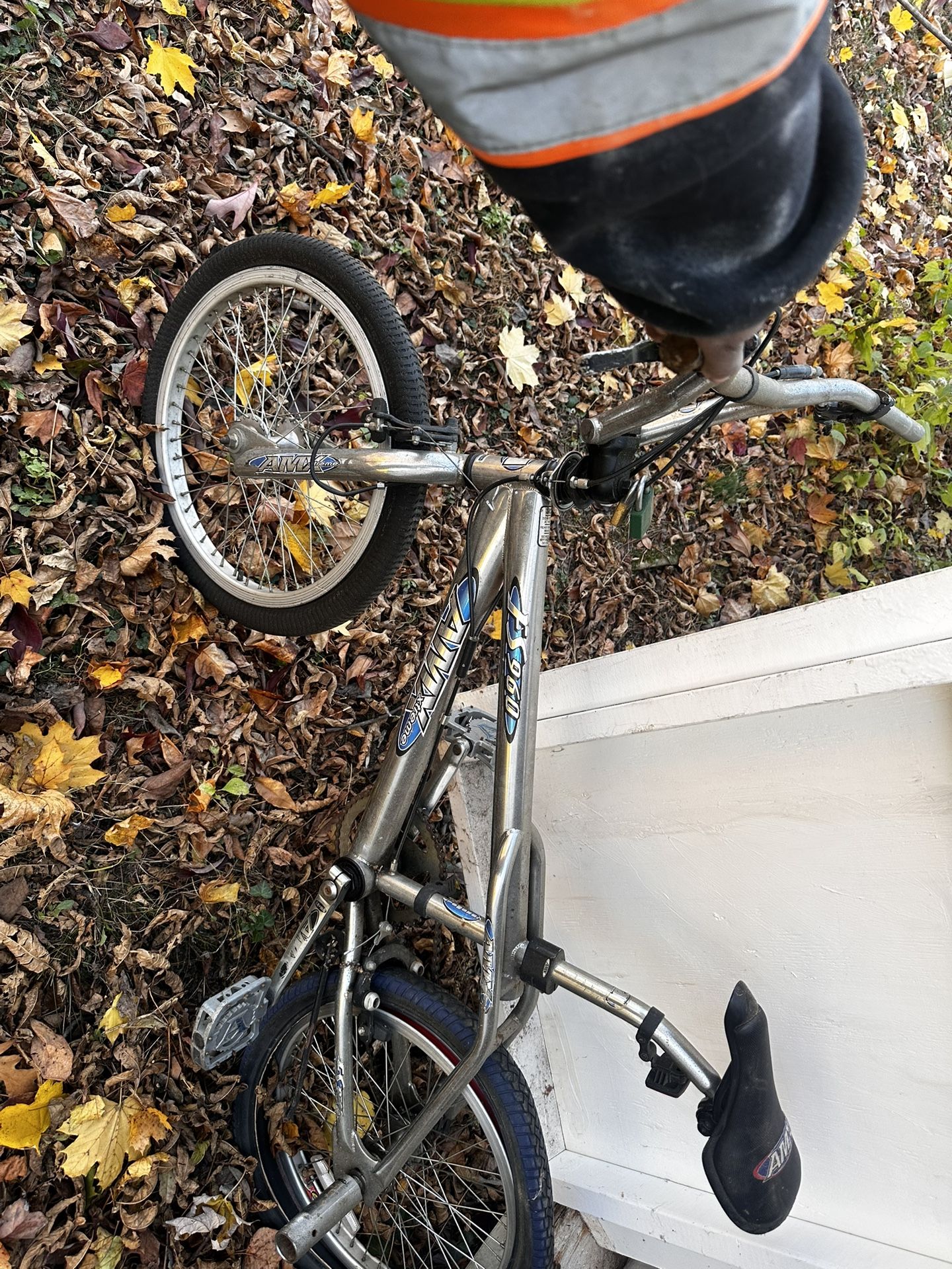 Old BMX Bike
