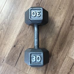 30 Lb Dumbbell