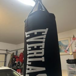 Everlast boxing bag + 12 ounce gloves