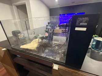 Innovative Marine 20 gallon peninsula Nuvo
