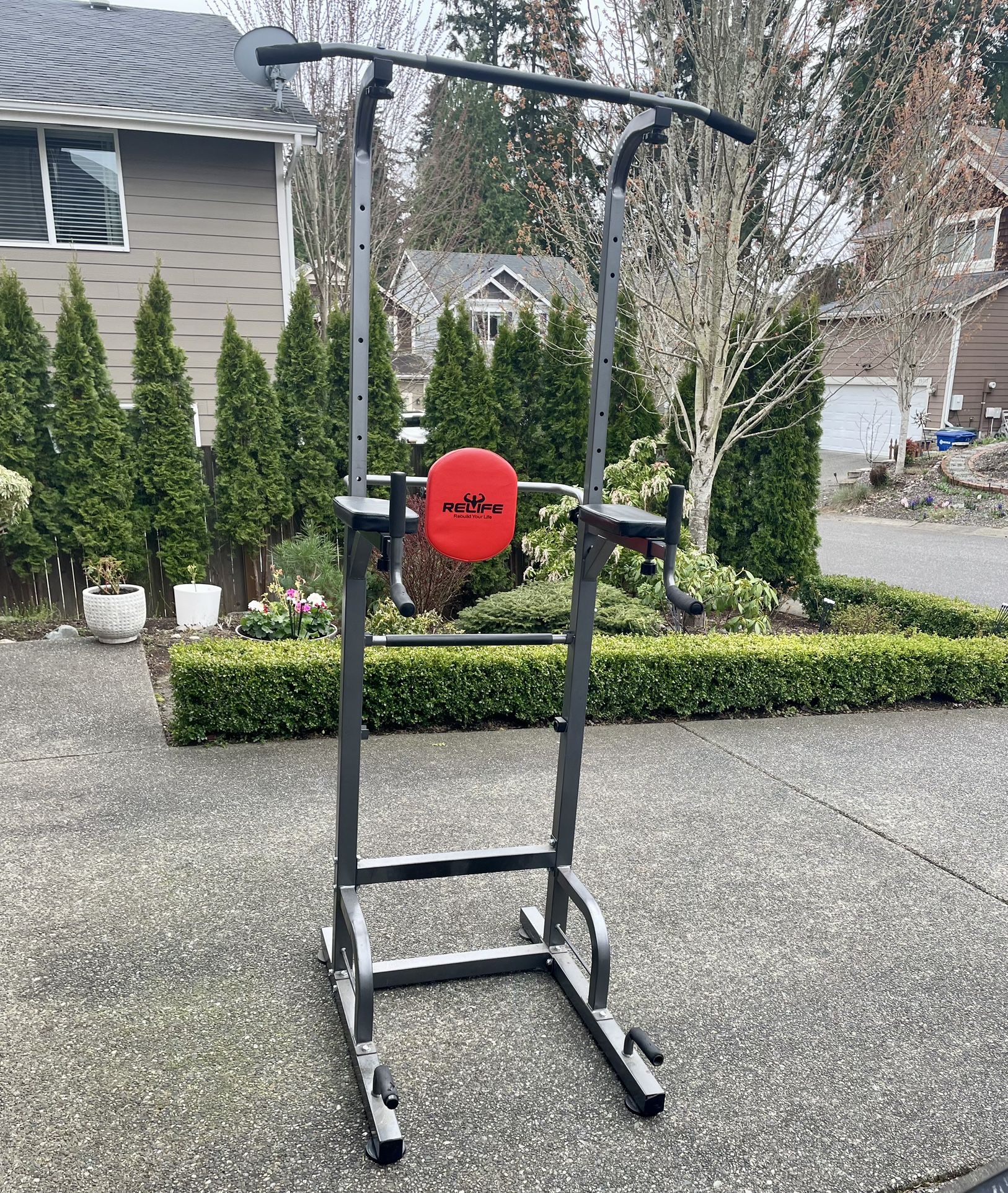 Pull Up Grips RELIFE REBUILD YOUR LIFE Dip Station Functional