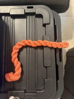 Orange cheesecloths