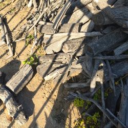 Fire Wood A Whole Bunch