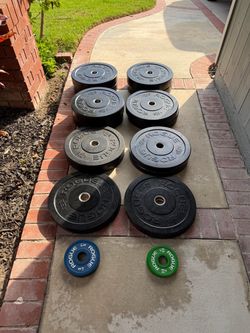 Rogue Fitness HG Bumper Plates - 495 LBS