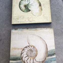 2 Shell Artwork Decor