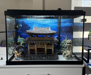 Aquarium Decorations