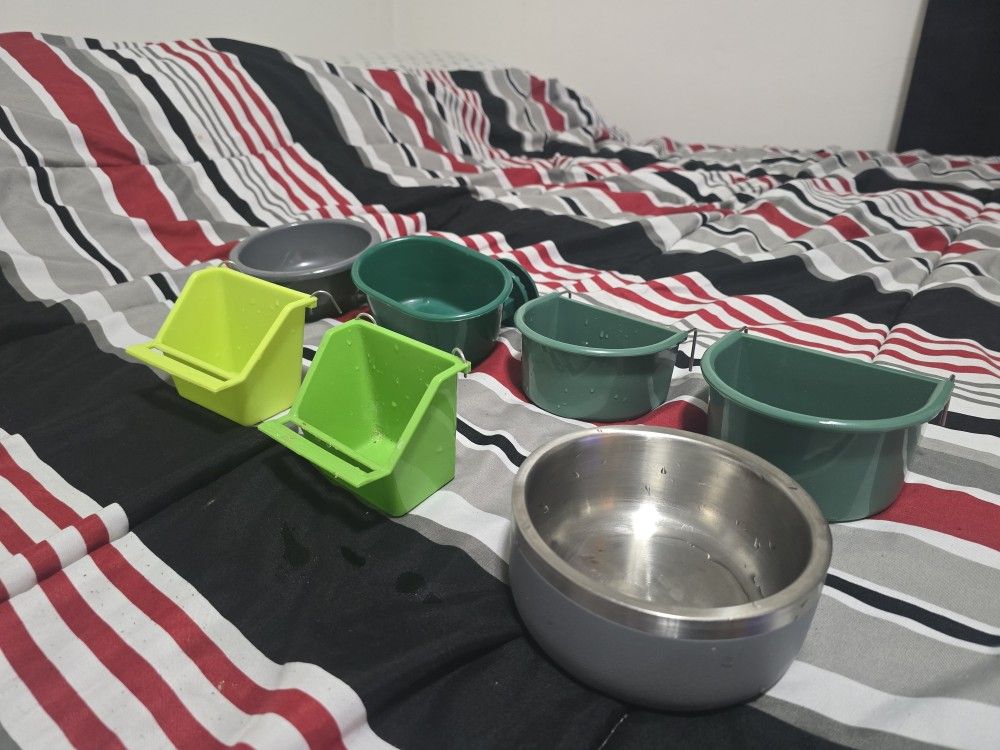 Ultimate Bird Bundle