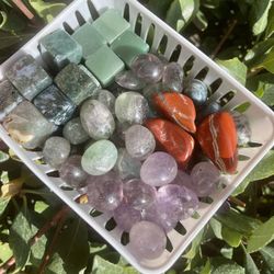 Palm Stones Crystal Quartz 6 For $25