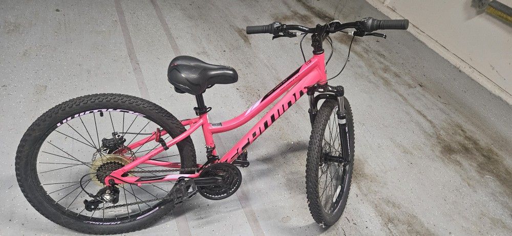 Schwinn High Timber Mountain Bike for Adult Youth Men Women Boys Girls, 24" Wheels,