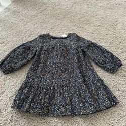 Size 2 Baby Gap Dress 