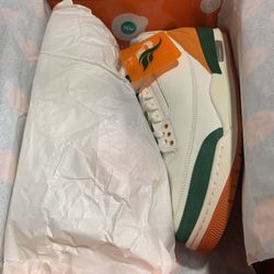 Jordan 3 Sole Fly Miami 