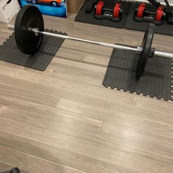 Rogue barbell and bumper plates