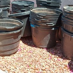 25 Gallon Nursery pots