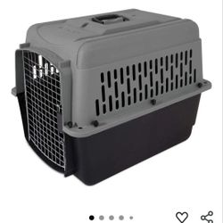 Dog Kennel 
