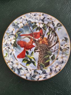 Bradford Exchange Plate