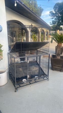 Dog Cages