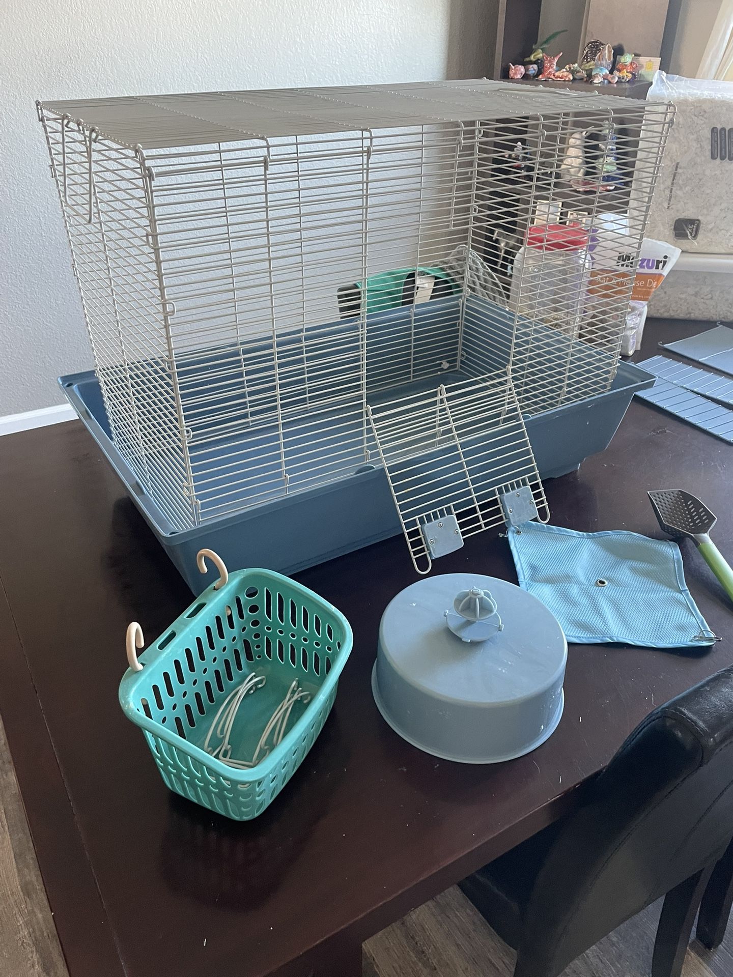 Full cheeks Starter Kit And Many Other Mouse/Rat Supplies