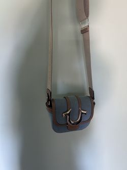 True Religion Purse