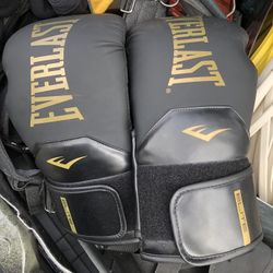 Everlast Boxing Gloves