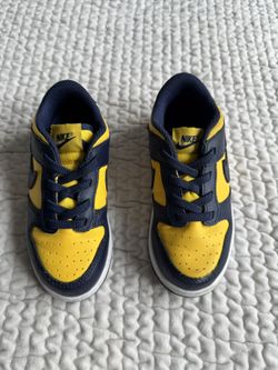 Nike Dunk (Michigan) Toddler Size 10c