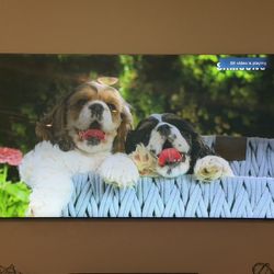 85" Class QN900B Samsung Neo QLED 8K Smart TV