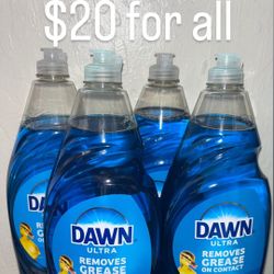 Dawn Dish Soap 