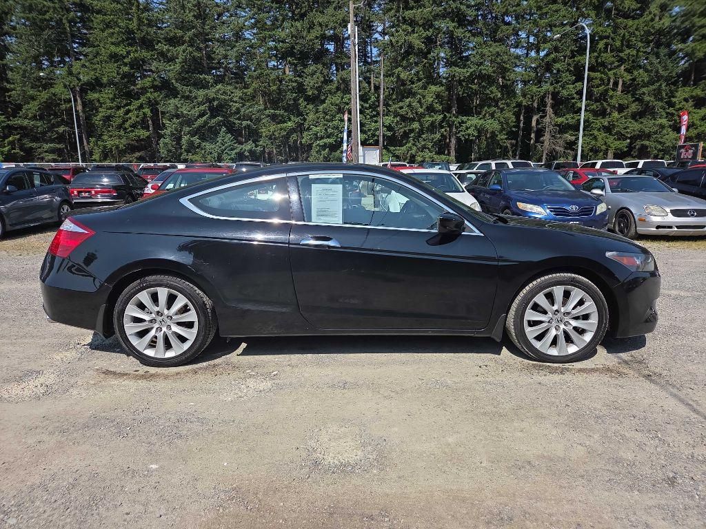 2010 Honda Accord