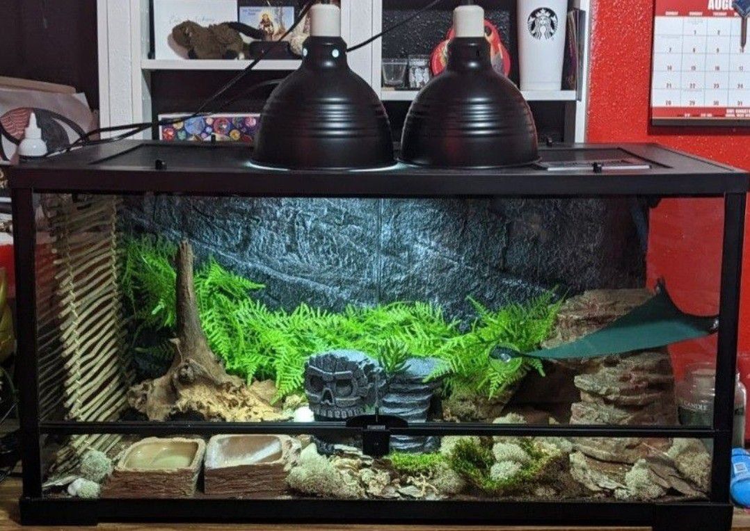 40-Gallon Reptile Tank 