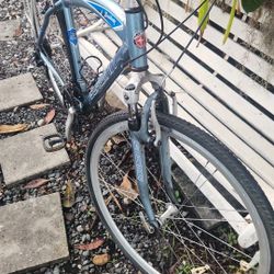 Schwinn Bike Large Frame