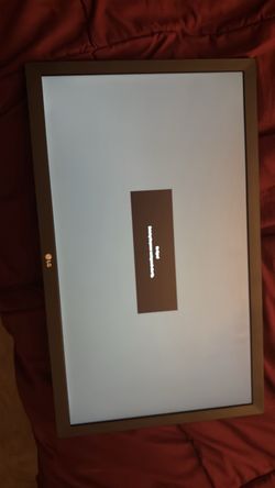 LG Flat Screen Monitor