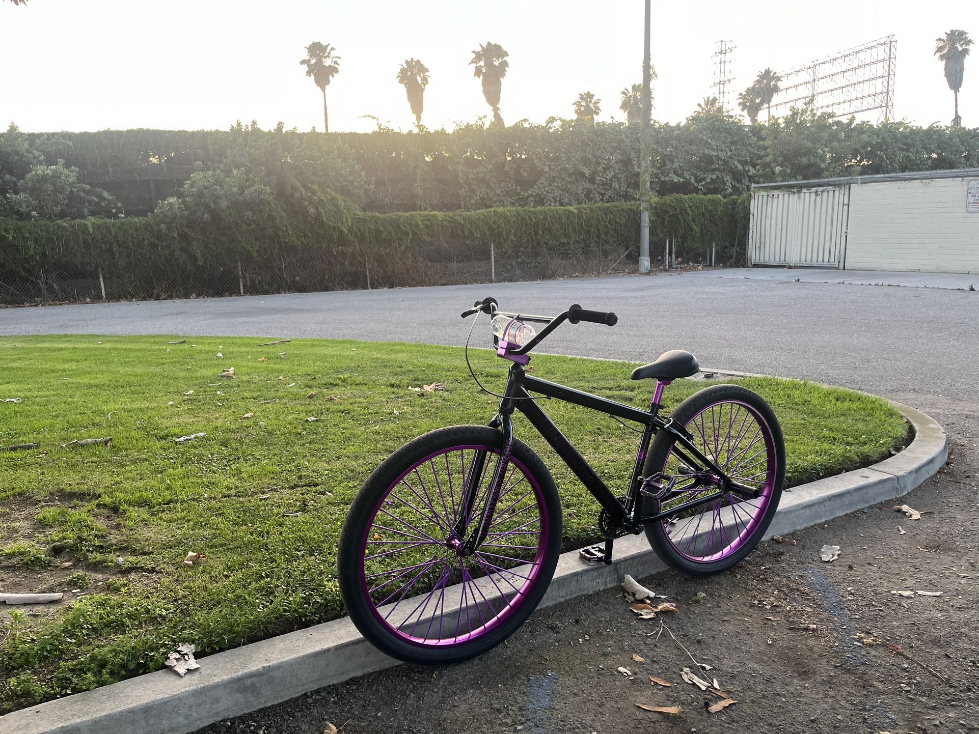 SE “BIG FLYER” Bike