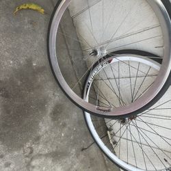Fixie Bicycle Tires And Rima